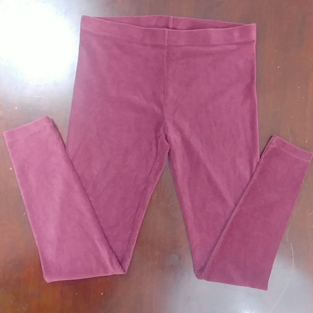 Hotsox Ribbed Legging Pants